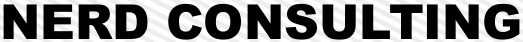nerd consulting logo