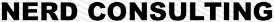 nerd consulting logo